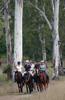 Australia-Queensland-Gold Rush Trail and  Beach Ride